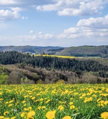 Rosa Flesch Hotel Und Tagungszentrum Waldbreitbach ภายนอก รูปภาพ